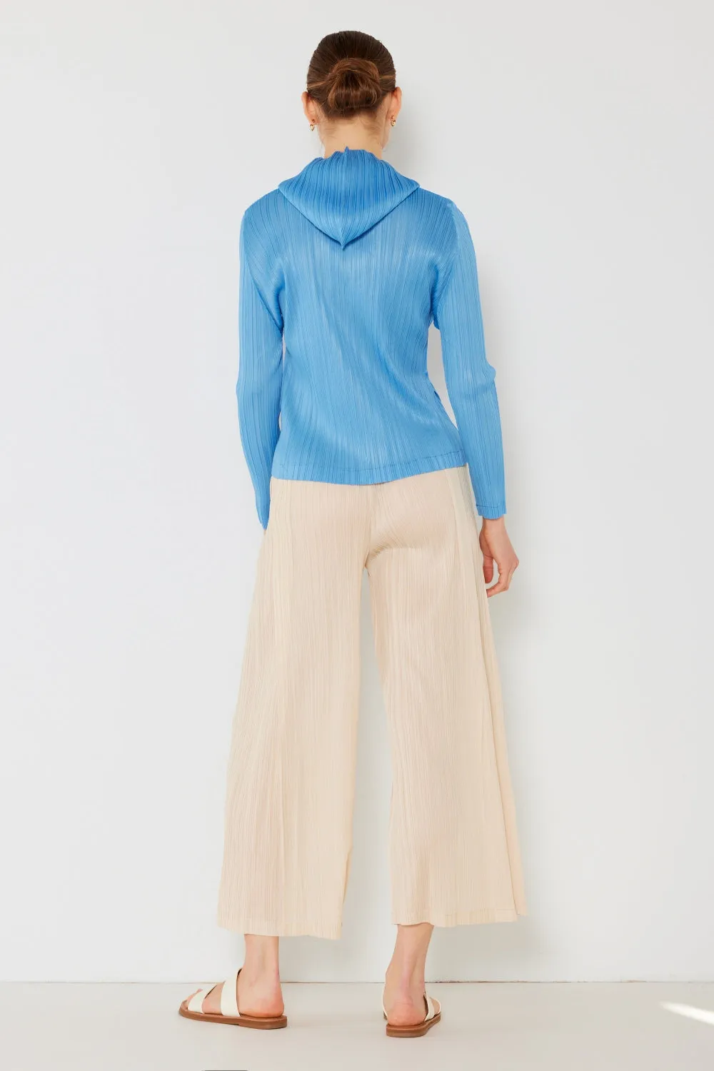 Marina West Swim Pleated Wide-Leg Pants with Side Pleat Detail