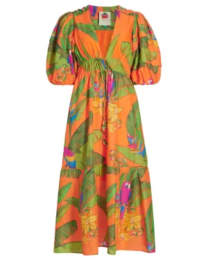 Orange Fresh Macaws Midi Dress