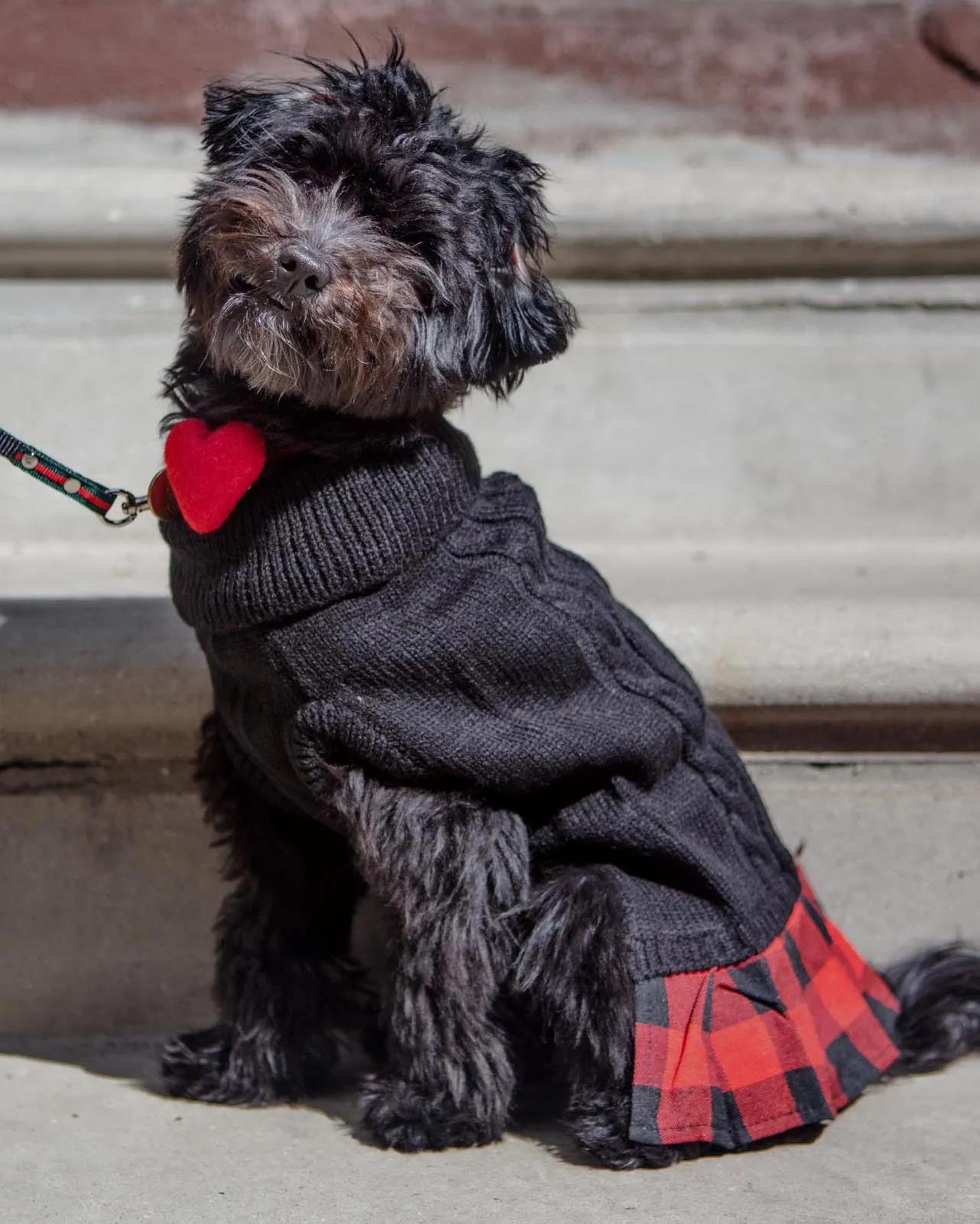 Turtleneck Sweater Dress for Dogs